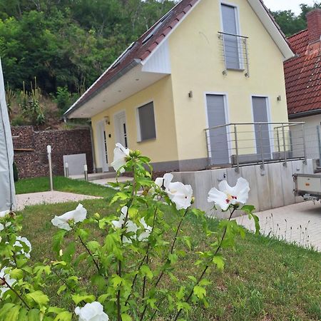 Ferienhaus Saaleblick Wettin Dış mekan fotoğraf