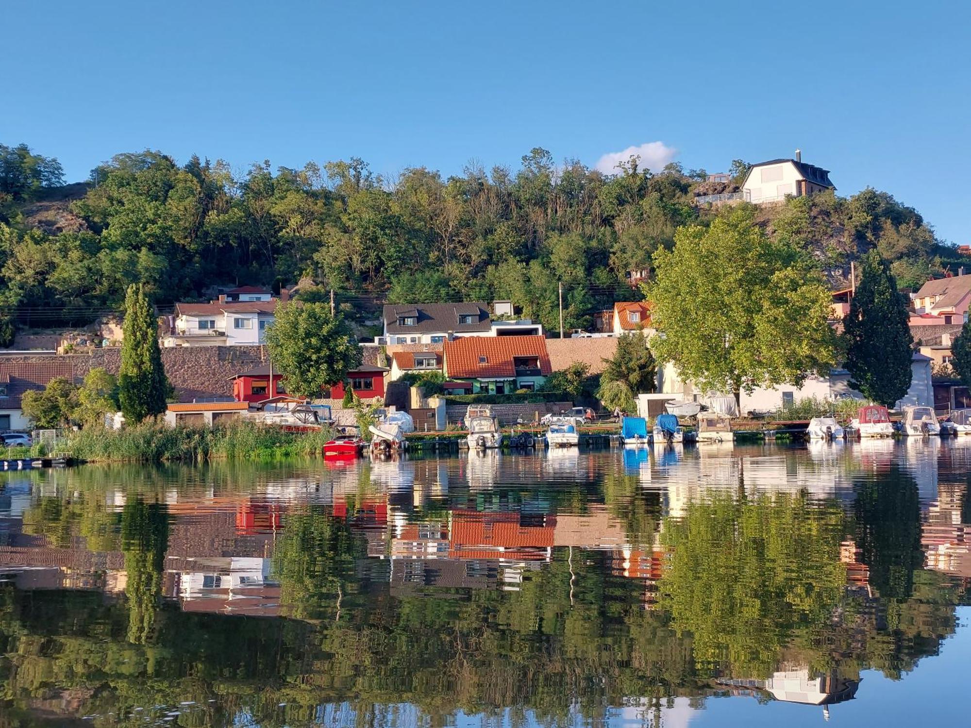 Ferienhaus Saaleblick Wettin Dış mekan fotoğraf