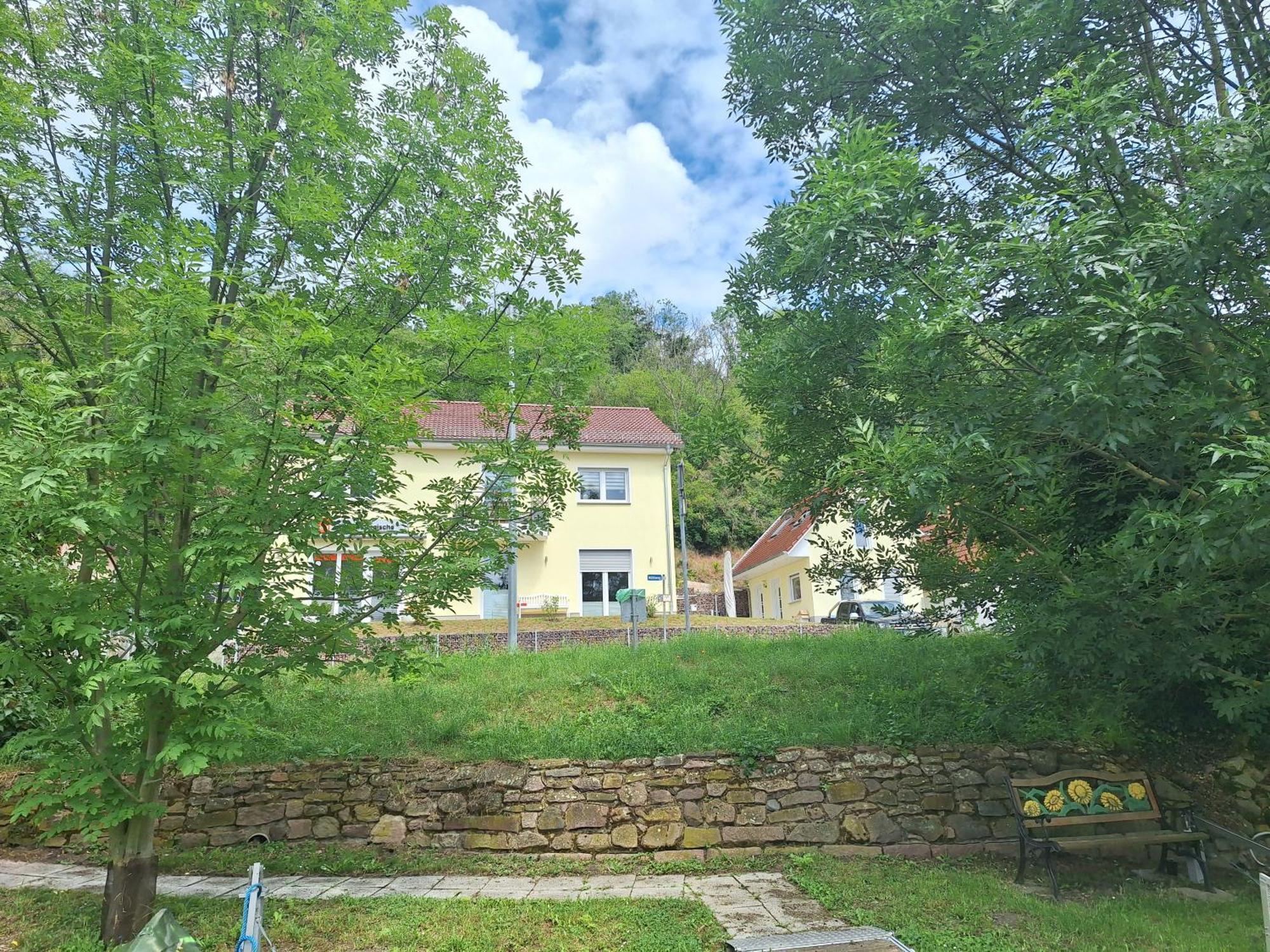 Ferienhaus Saaleblick Wettin Dış mekan fotoğraf